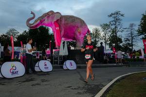 BIB: 
                            <button type="button" onclick="openModal(26529536)" class="btn btn-primary btn-sm float-right btn-popup" data-toggle="modal" data-target=".modal-high-quality">
                        <i class="fas fa-shopping-cart"></i> Add to Cart
                    </button>
                                            <button type="button" onclick="isThisMe(26529536, true)" class="btn btn-success btn-sm float-right btn-popup btn-isme hidden" data-toggle="tooltip" data-placement="bottom" title="นี่คือรูปของคุณใช่ไหม คลิกที่นี่เพื่อเอาเข้าอัลบั้ม">
                        <i class="fas fa-plus"></i> Add to album
                    </button>
                    <button type="button" onclick="isThisMe(26529536, false)" class="btn btn-warning btn-sm float-right btn-popup btn-isnotme hidden">
                        <i class="fas fa-ban"></i> Remove from album
                    </button>